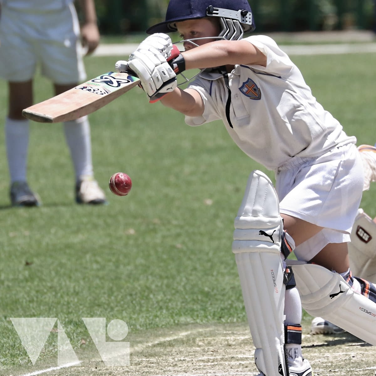 Cricket Instrument - VNI Consultants